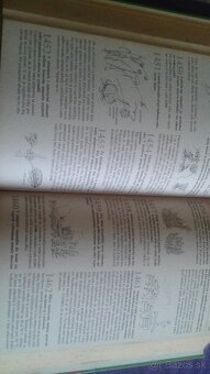 2000 rád pre záhradkárov - 2