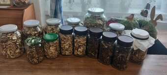 Sušené dubaky - 2