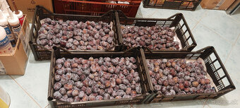 predam slivky .. - 2