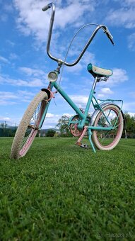 Sobi 20 - 2