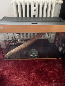 Akvárium - terárium - 2