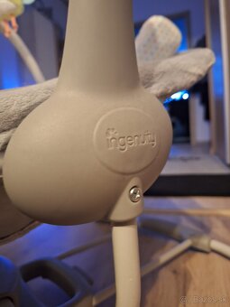 Ingenuity Portable Swing Hugs & Hoots - 2