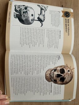 📘 VEDELI STE? – ANATÓMIA ČLOVEKA - 2