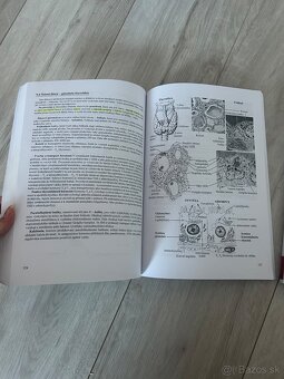 Skriptá -prehľad histológie - 2