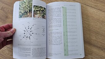 Pěstování révy vinné - 2