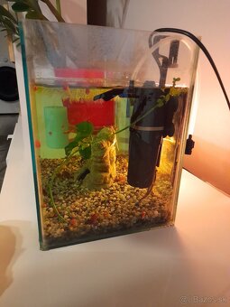 Akvárium s príslušenstvom - 2
