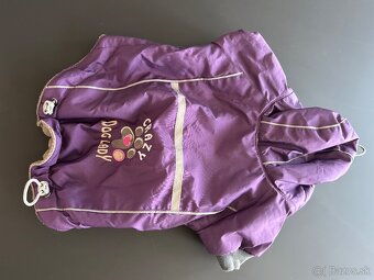 Postroje, obojok, voditko, topanky, oblecenie - 2