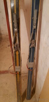 Stare lyže artis - 2