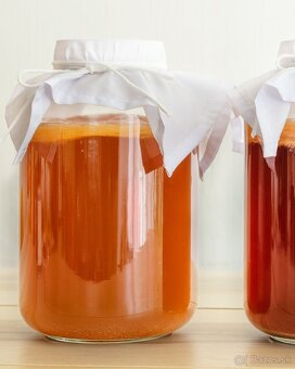 Kombucha + štartovací nálev - 2