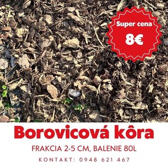 Borovicova kôra - 2