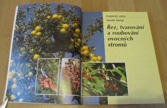 ez, tvarování a roubování ovocných stromu - 2