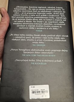 Kniha od Hanya Yanagihara "Do raja" - 2
