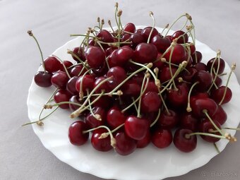 PREDÁM ČEREŠNE - 2