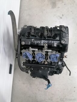 Tiger 800 - 2