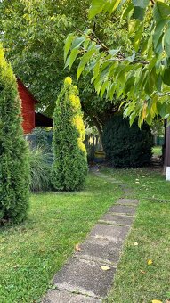 Záhrada Nové Zámky - 2