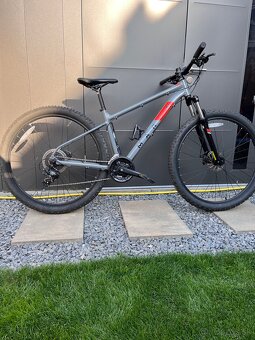 Martin Bolinas Ridge1 M 29” - 2