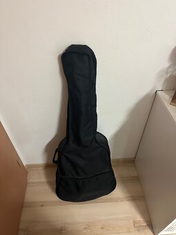 Gitara Cataluna - 2