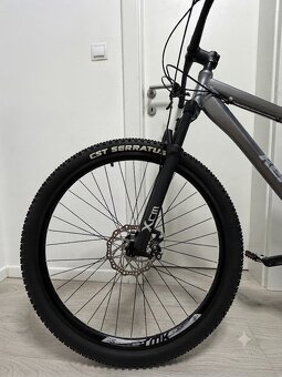 Kenzel Shade 29 - 2