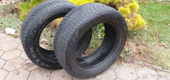 NEXEN, ZIMNE, CELOROCNE, 225/55 R16 - 2