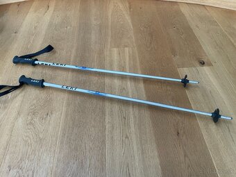 LYŽIARSKE PALICE - 2
