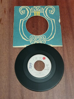 SP platne Marcela Laiferová - 2