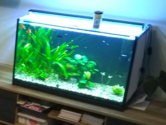 AKVÁRIUM 150 L - 2