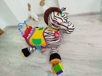 Zebra - 2