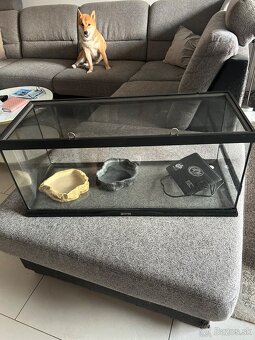 Terrarium - 2