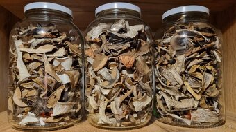 Sušené hríby/huby - 2