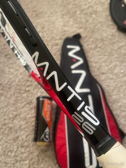 Mantis 26 - 2