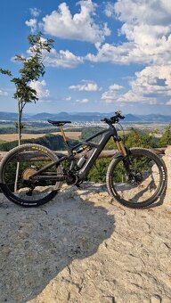 Radon DEFT 10.0 750 velkost ramu M - 2
