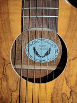 Akusticko-elektrická gitara s vybavením + DARČEK - 2