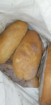 Pečivo - 2