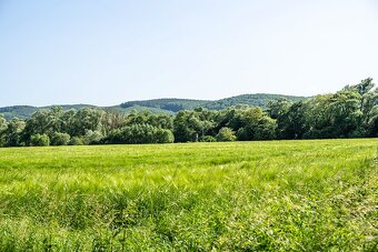 VEĽKÝ POZEMOK S POTENCIÁLOM - KOMÁROV - 2