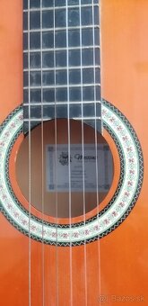 Gitara s puzdrom - 2