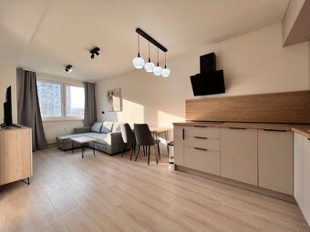 Newly renovated 1.5-room apartment – Krivá Street, walking d - 2