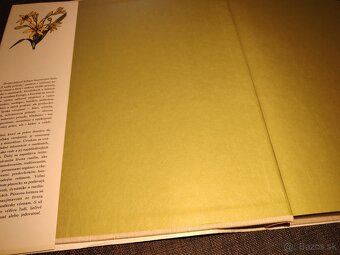 Z našej prírody - 2