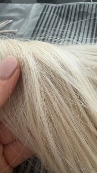 Ruske blond vlasy 20-30cm - 2