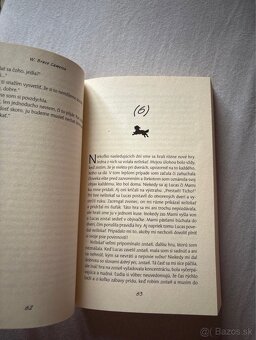 Kniha- Psia cesta domov - 2