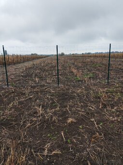 Predaj pozemku v Hurbanove pri hlavnej ceste - 2
