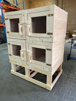 Zajačník - boxový - 2