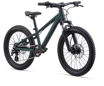 Giant stp 20 fs detsky - 2