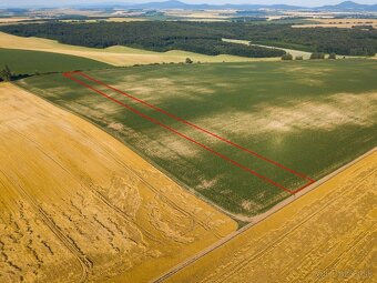 Pastuchov (Hlohovec) - 9.956 m2 ORNÁ PÔDA v komasácii - 2