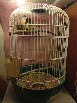 Zebričky+klietka - 2