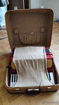 Harmonika Delica carmen 3 - 2