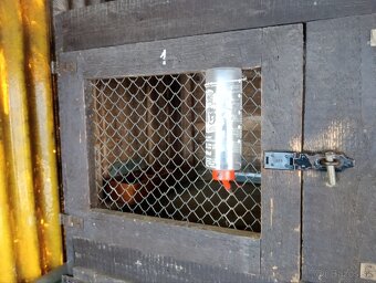 Predám kralikareň - 2