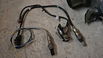 Dpf - 2