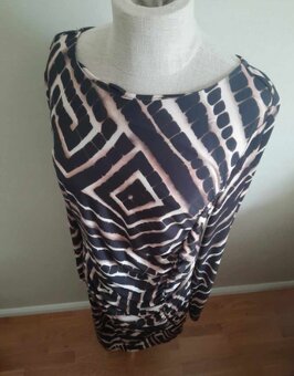 Zebra saty - 2