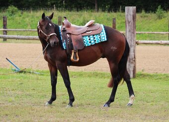 Na prodej: BR Electric Spook - 2