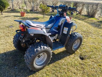 Stels ATV 50C 2T - 2